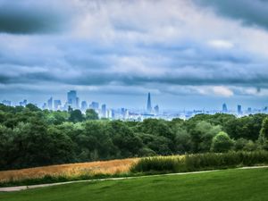 Preview wallpaper trees, city, buildings, meadow