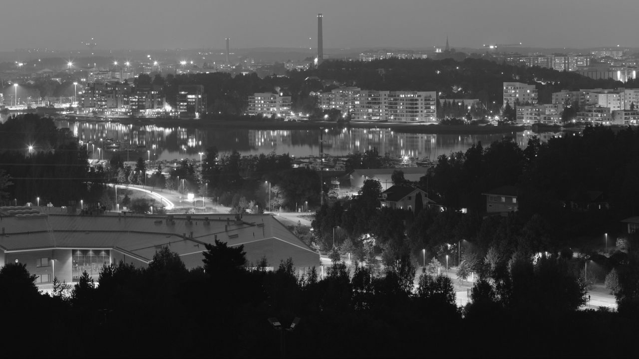 Wallpaper trees, city, buildings, dark, bw