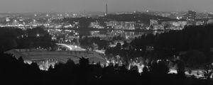 Preview wallpaper trees, city, buildings, dark, bw