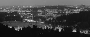 Preview wallpaper trees, city, buildings, dark, bw