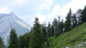 Preview wallpaper trees, clone, mountains, nature, landscape