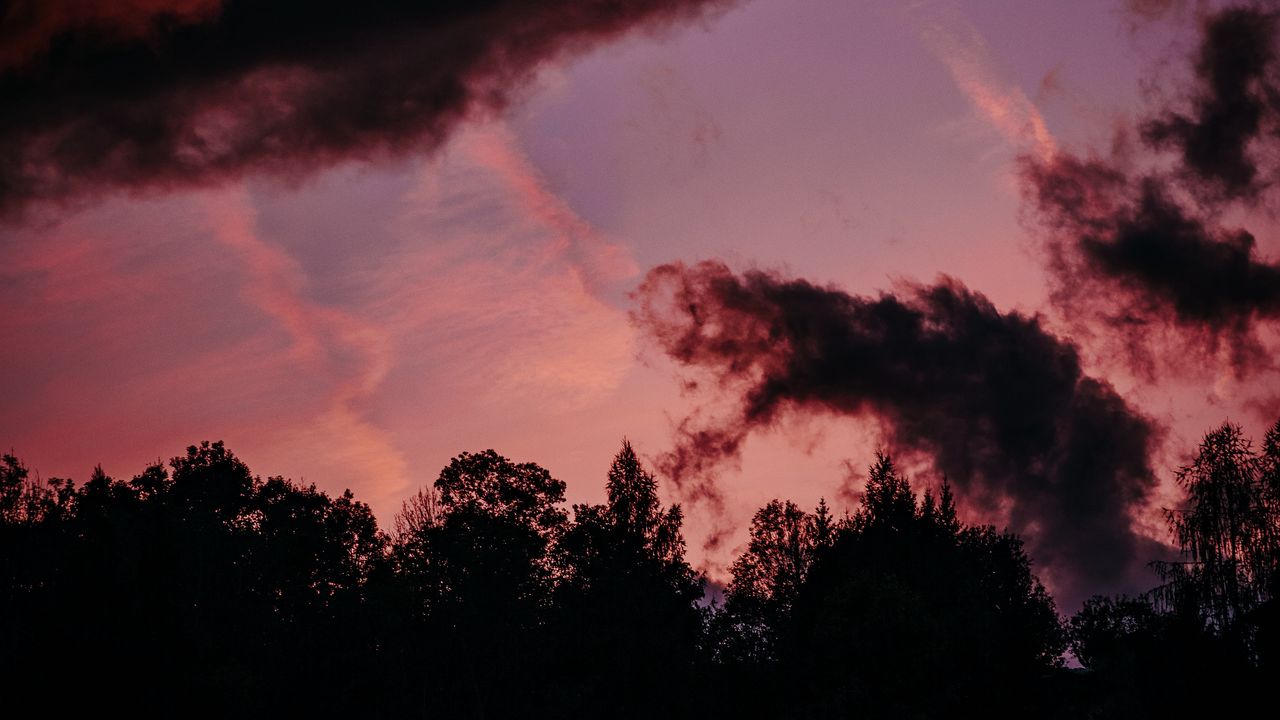 Wallpaper trees, clouds, dark, outlines, twilight