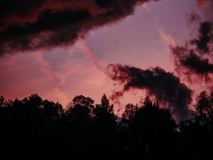 Preview wallpaper trees, clouds, dark, outlines, twilight