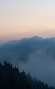 Preview wallpaper trees, clouds, dusk, nature