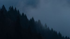 Preview wallpaper trees, clouds, dusk, nature