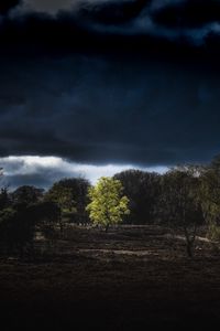 Preview wallpaper trees, clouds, earth, night