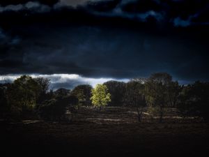 Preview wallpaper trees, clouds, earth, night