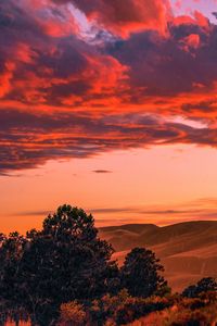 Preview wallpaper trees, clouds, hills, sunset