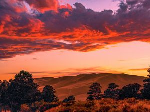 Preview wallpaper trees, clouds, hills, sunset