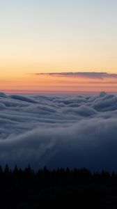 Preview wallpaper trees, clouds, horizon, sky