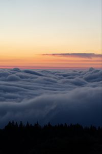 Preview wallpaper trees, clouds, horizon, sky
