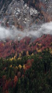 Preview wallpaper trees, clouds, mountain, nature