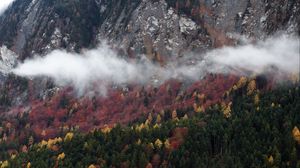 Preview wallpaper trees, clouds, mountain, nature