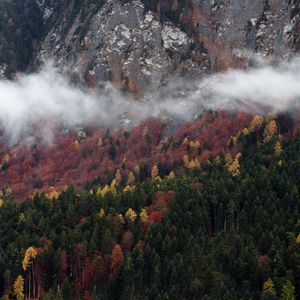 Preview wallpaper trees, clouds, mountain, nature