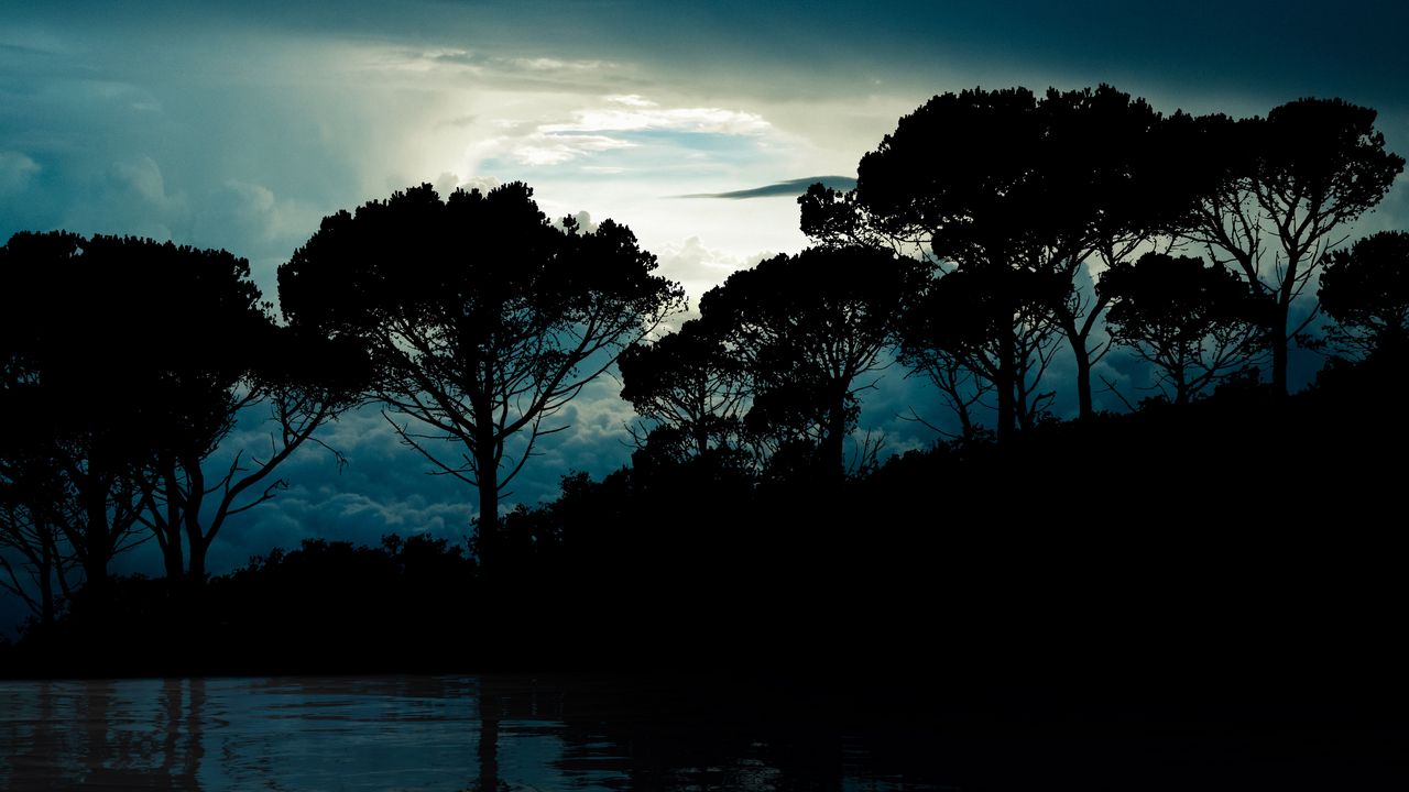 Wallpaper trees, clouds, night, reflection, landscape