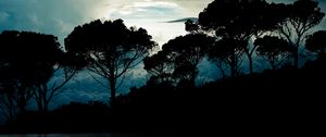 Preview wallpaper trees, clouds, night, reflection, landscape