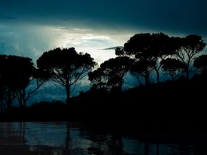 Preview wallpaper trees, clouds, night, reflection, landscape