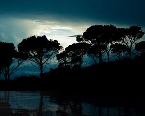 Preview wallpaper trees, clouds, night, reflection, landscape