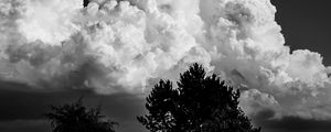 Preview wallpaper trees, clouds, sky, bw