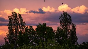 Preview wallpaper trees, clouds, twilight, landscape