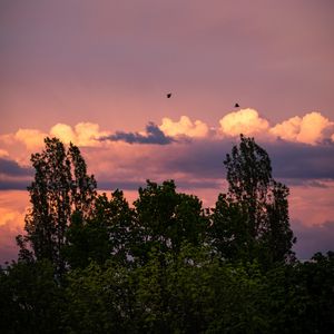 Preview wallpaper trees, clouds, twilight, landscape