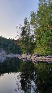Preview wallpaper trees, coast, lake, reflection, nature