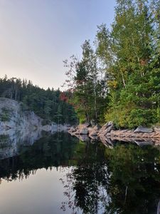 Preview wallpaper trees, coast, lake, reflection, nature