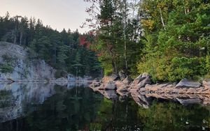 Preview wallpaper trees, coast, lake, reflection, nature
