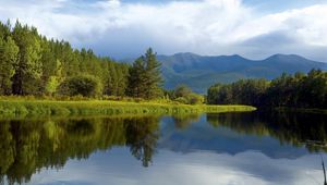 Preview wallpaper trees, coast, lake, siberia, wood, reflection