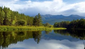 Preview wallpaper trees, coast, lake, siberia, wood, reflection