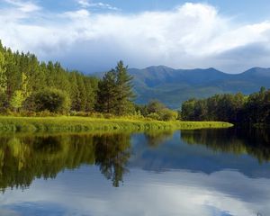 Preview wallpaper trees, coast, lake, siberia, wood, reflection