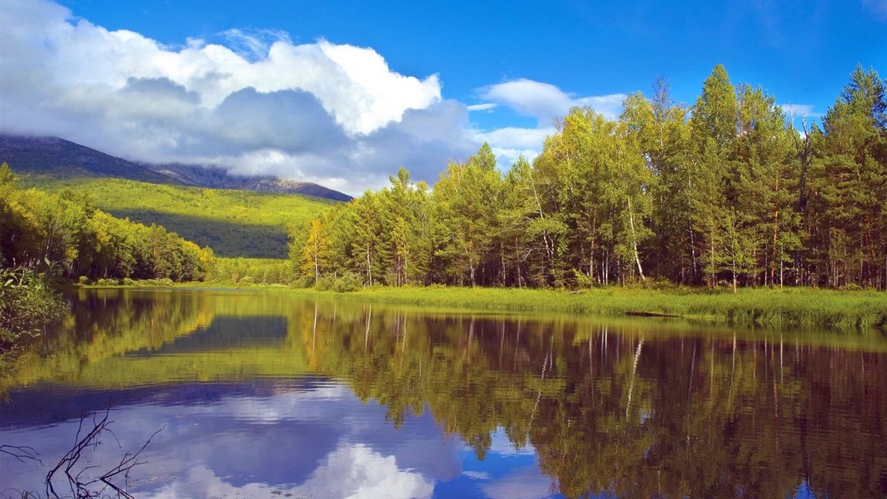 Wallpaper trees, coast, lake, siberia, wood, reflection, sky, clouds