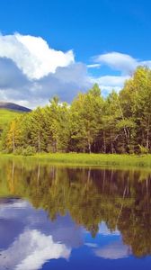 Preview wallpaper trees, coast, lake, siberia, wood, reflection, sky, clouds