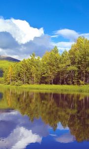Preview wallpaper trees, coast, lake, siberia, wood, reflection, sky, clouds