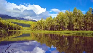 Preview wallpaper trees, coast, lake, siberia, wood, reflection, sky, clouds