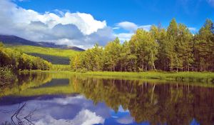 Preview wallpaper trees, coast, lake, siberia, wood, reflection, sky, clouds