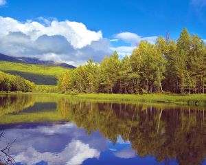 Preview wallpaper trees, coast, lake, siberia, wood, reflection, sky, clouds