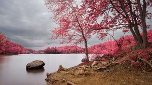 Preview wallpaper trees, coast, river, landscape, nature