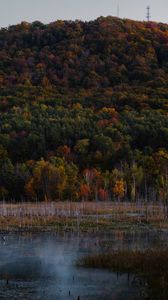 Preview wallpaper trees, colorful, lake, hill