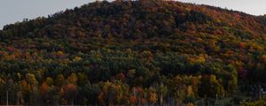 Preview wallpaper trees, colorful, lake, hill