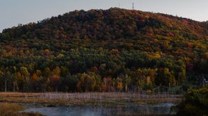 Preview wallpaper trees, colorful, lake, hill