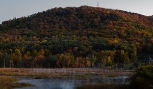 Preview wallpaper trees, colorful, lake, hill