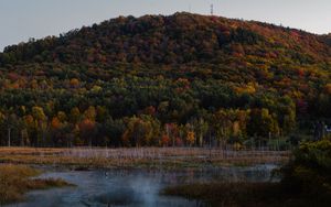 Preview wallpaper trees, colorful, lake, hill