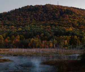 Preview wallpaper trees, colorful, lake, hill