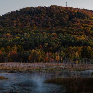 Preview wallpaper trees, colorful, lake, hill