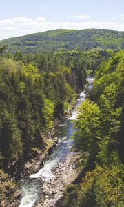 Preview wallpaper trees, creek, river, mountain