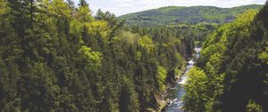 Preview wallpaper trees, creek, river, mountain