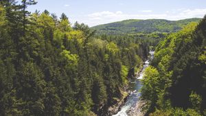 Preview wallpaper trees, creek, river, mountain