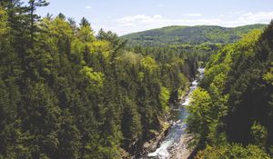 Preview wallpaper trees, creek, river, mountain