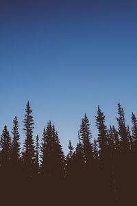 Preview wallpaper trees, dark, sky, twilight, nature